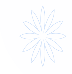 利来·国际(中国)最老牌有限公司官网