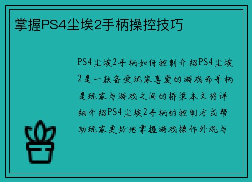 掌握PS4尘埃2手柄操控技巧